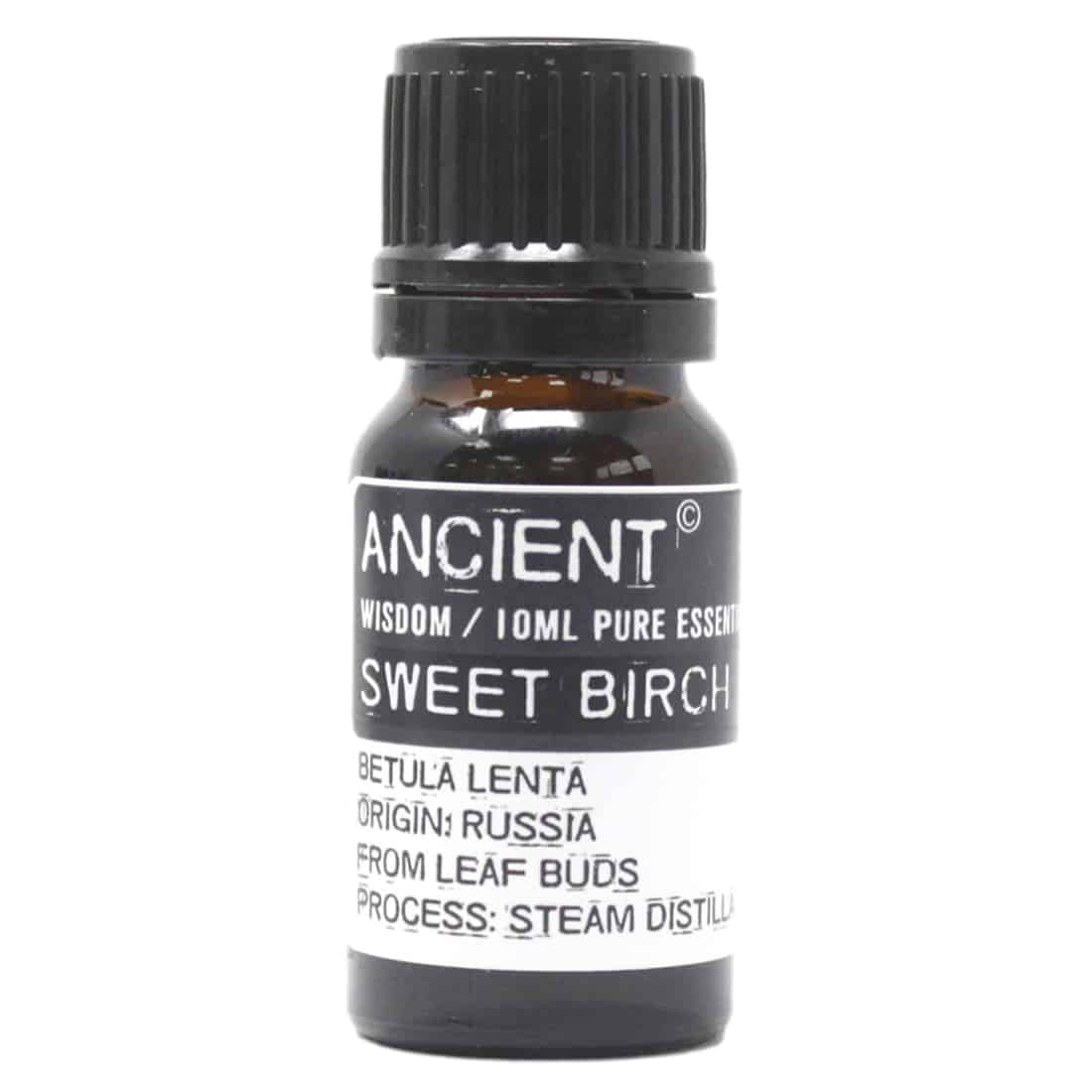 Ancient - Sød Birk Æterisk Olie 10 ml